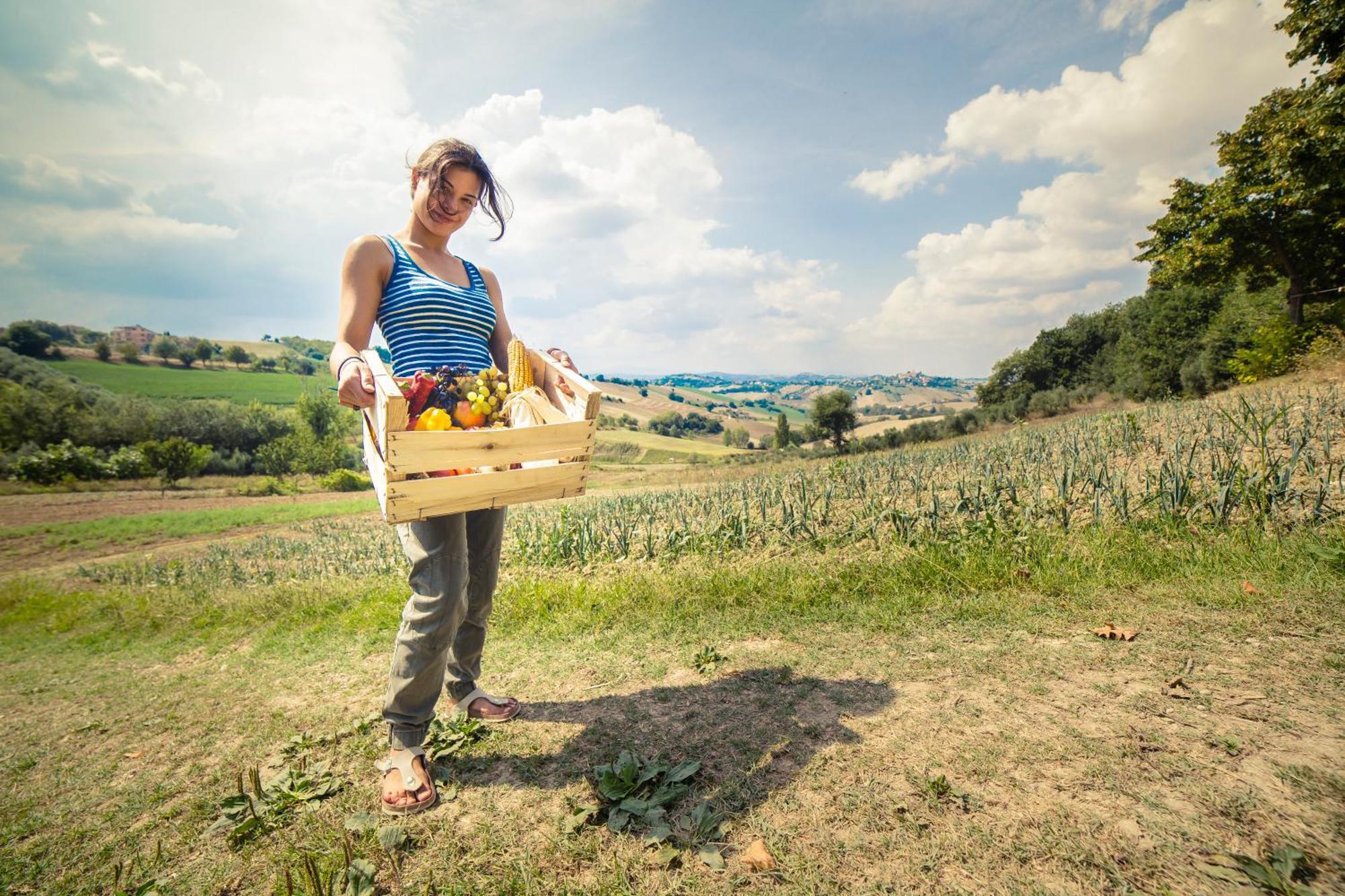 Monte San Pietrangeli Agriturismo Fonte Carella מראה חיצוני תמונה